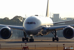 HARADAの朝 Ⅲ✈787-8 Dreamliner