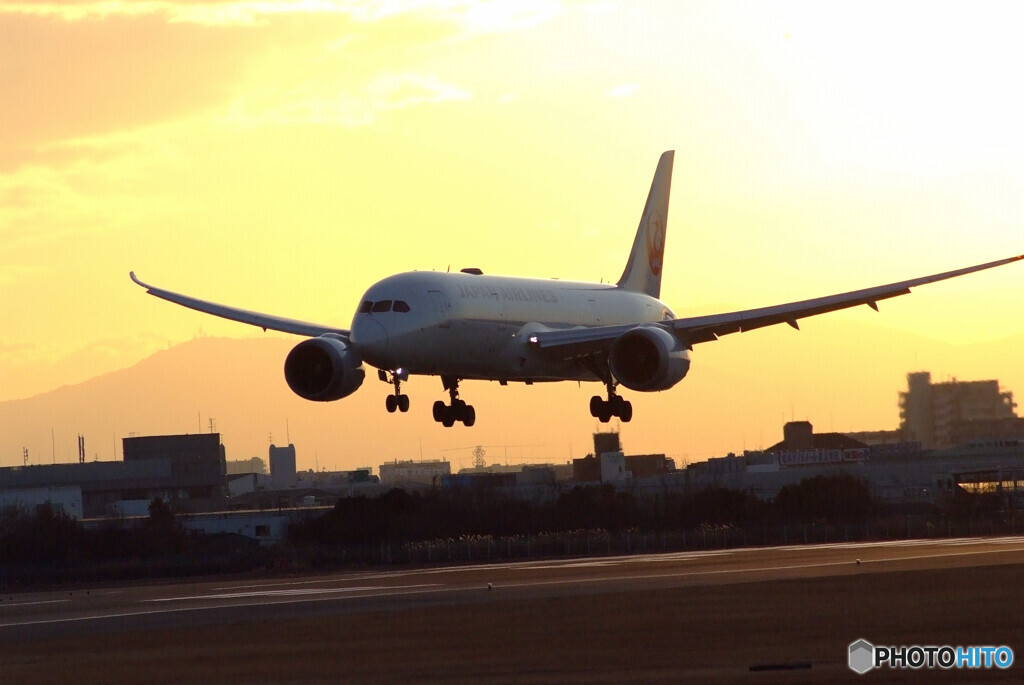 SKYLANDの翼✈Boeing787-8