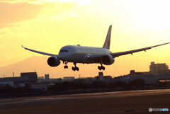 SKYLANDの翼✈Boeing787-8