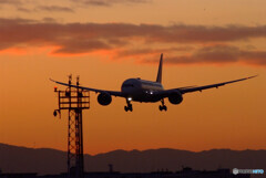 Beautiful Wings✿SKYLAND