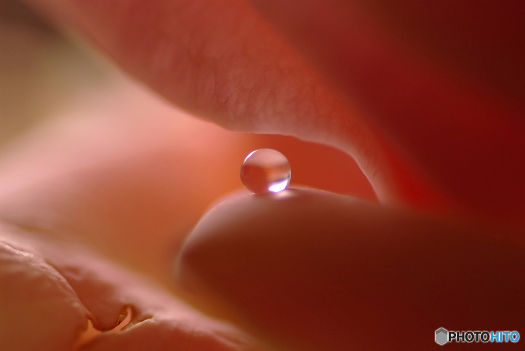 恋する惑星・雫