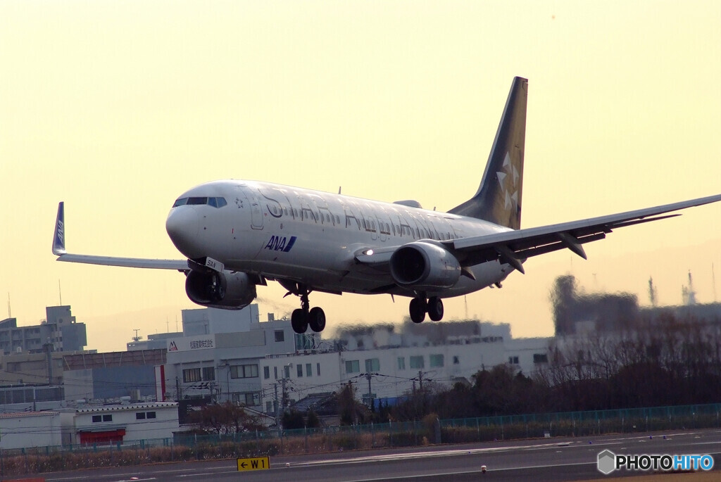 Japanese beautyⅦ✈Boeing 737-800 