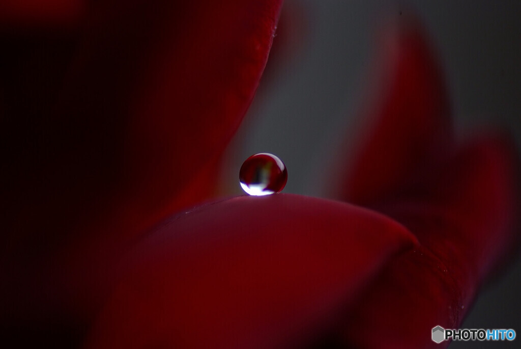 Delivered to you・想い