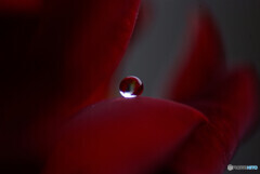 Delivered to you・想い