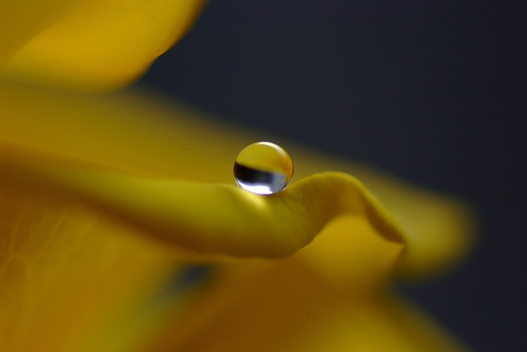 希望・夢・未来