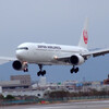 花見月の空✈SKYLAND