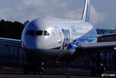 メタリックな世界へ・787