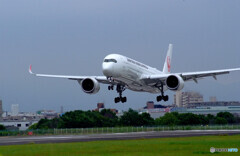 HARADAの朝✈Airbus A350-900 