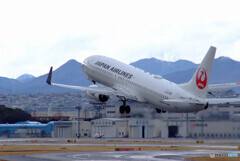 Nice AfternoonⅧ★JAL Boeing737-800