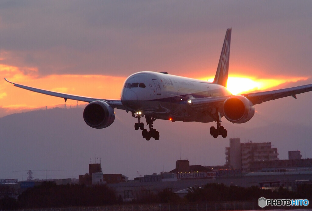 To Feel The Fire✈787