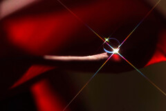 艶姫♪睦月の贈り物