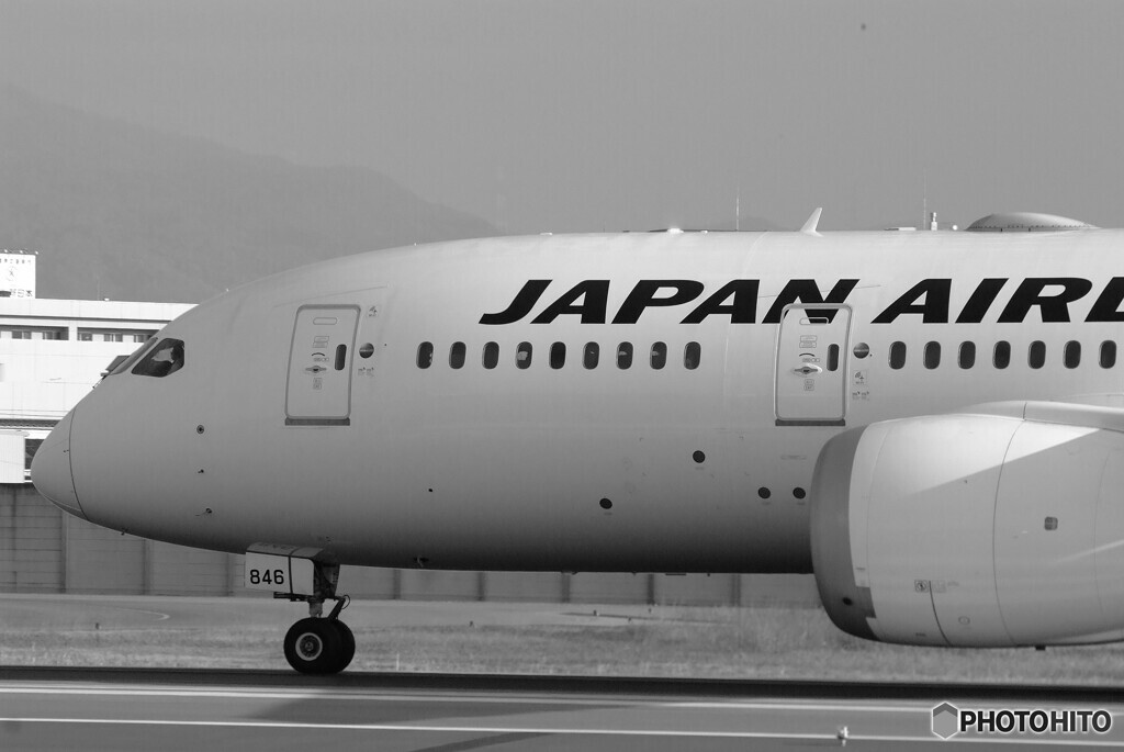December MorningⅩ✈JA846J