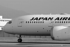 December MorningⅩ✈JA846J