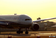 March Morning★Boeing777-200