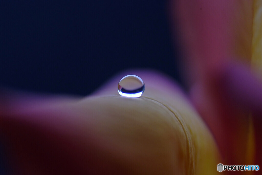 ☂でも楽しむ✿麗月の朝