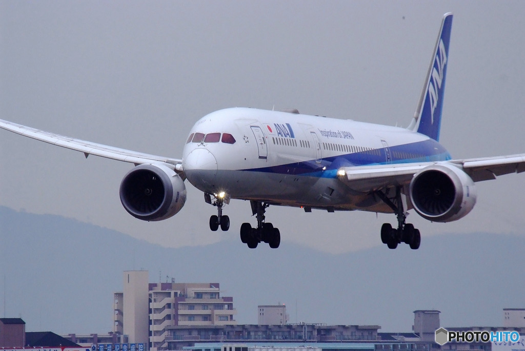 The Good Morning・787