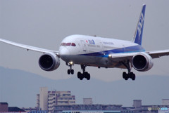 The Good Morning・787