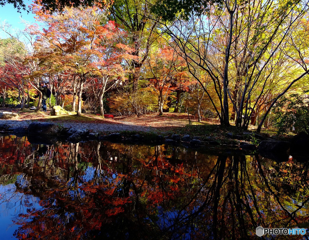 静寂・紅葉峡にて