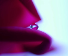 長月の惑星（Ⅲ）・雫