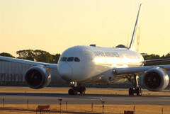 極月の朝✈Boeing 787-8 Dreamliner