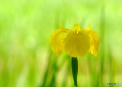 あなたの好きなところ・・