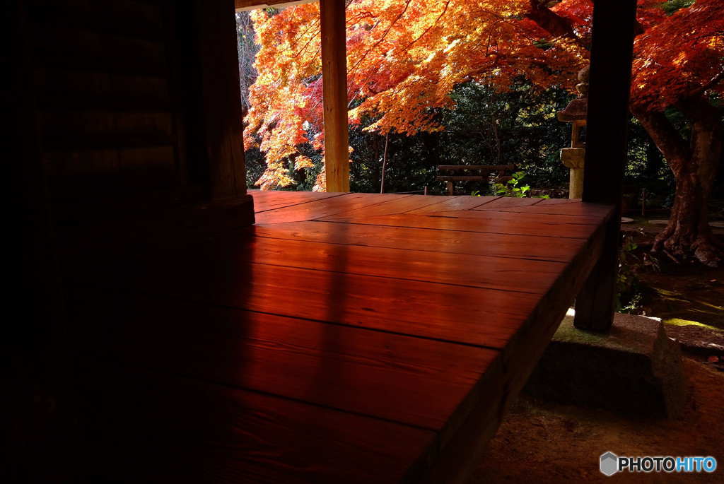 紅葉に誘われて