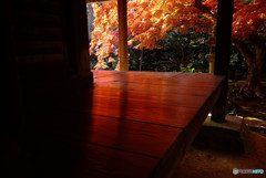 紅葉に誘われて