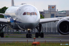 Morning Dreamer ・Ⅹ