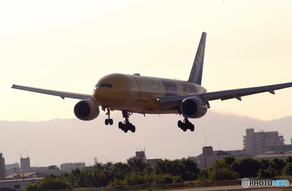 9月の旅人Ⅱ✈C3PO JET