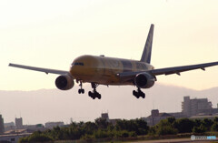 9月の旅人Ⅱ✈C3PO JET