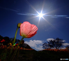 天までとどけ！