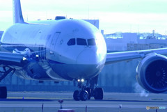 November giftⅡ・787