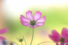 My Treasure・第１章