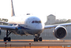 Backlight✈Boeing 787-8 Dreamliner 