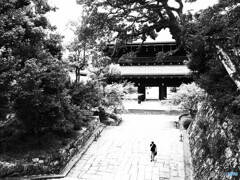 京都の夏・知恩院