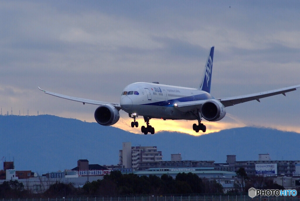 妄想の旅へ✈Boeing 787-8