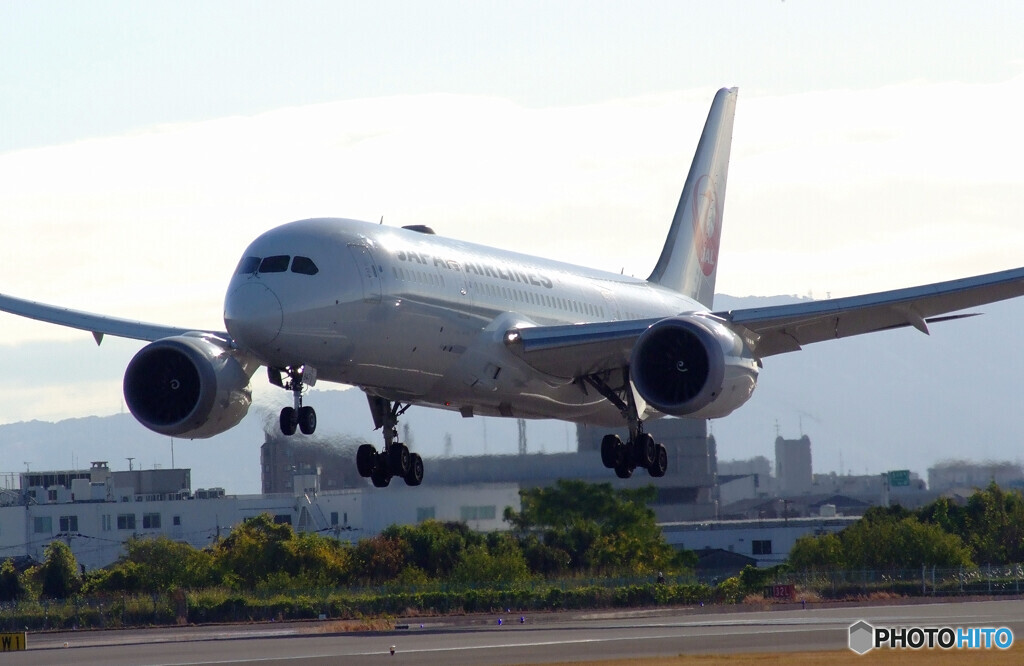 November MorningⅢ✈Boeing787-8