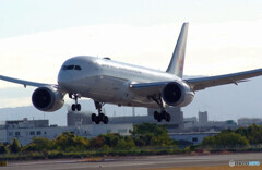 November MorningⅢ✈Boeing787-8