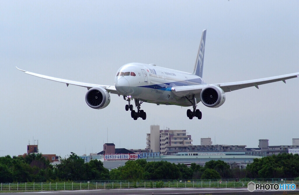 Morning Bird✈Boeing 787-9 Dreamliner