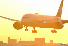 December Ｇift・787