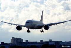 April TravelerⅩ✈JAL Dreamliner