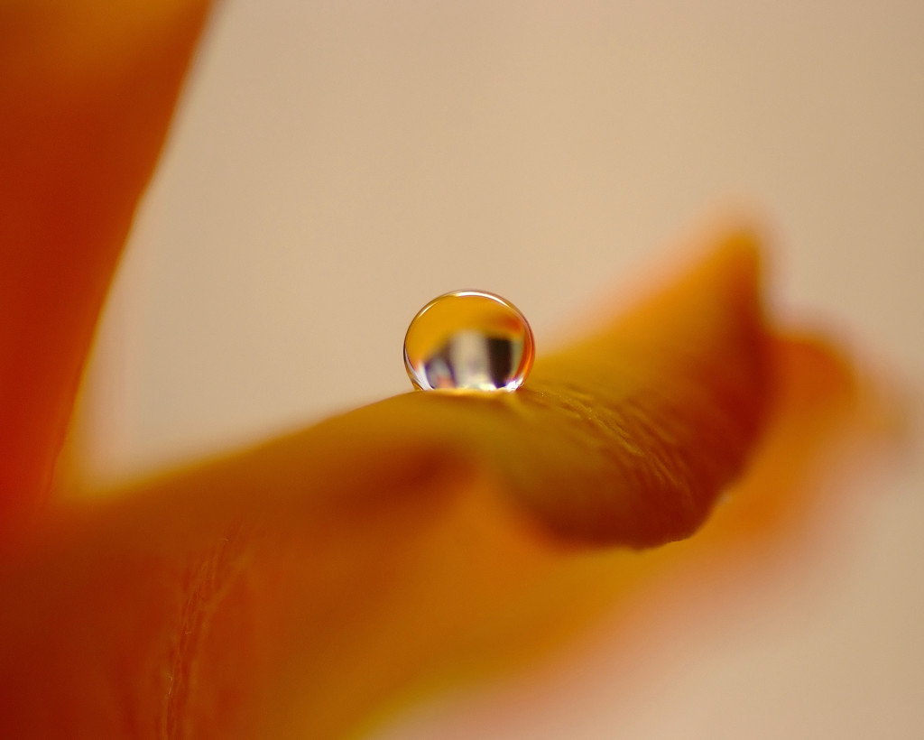 夢の世界へ・雫