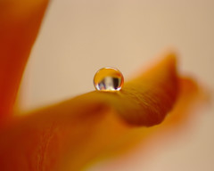 夢の世界へ・雫