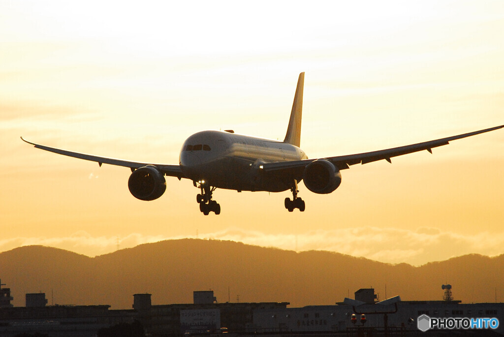 GOLD STAR ✈Boeing 787-8