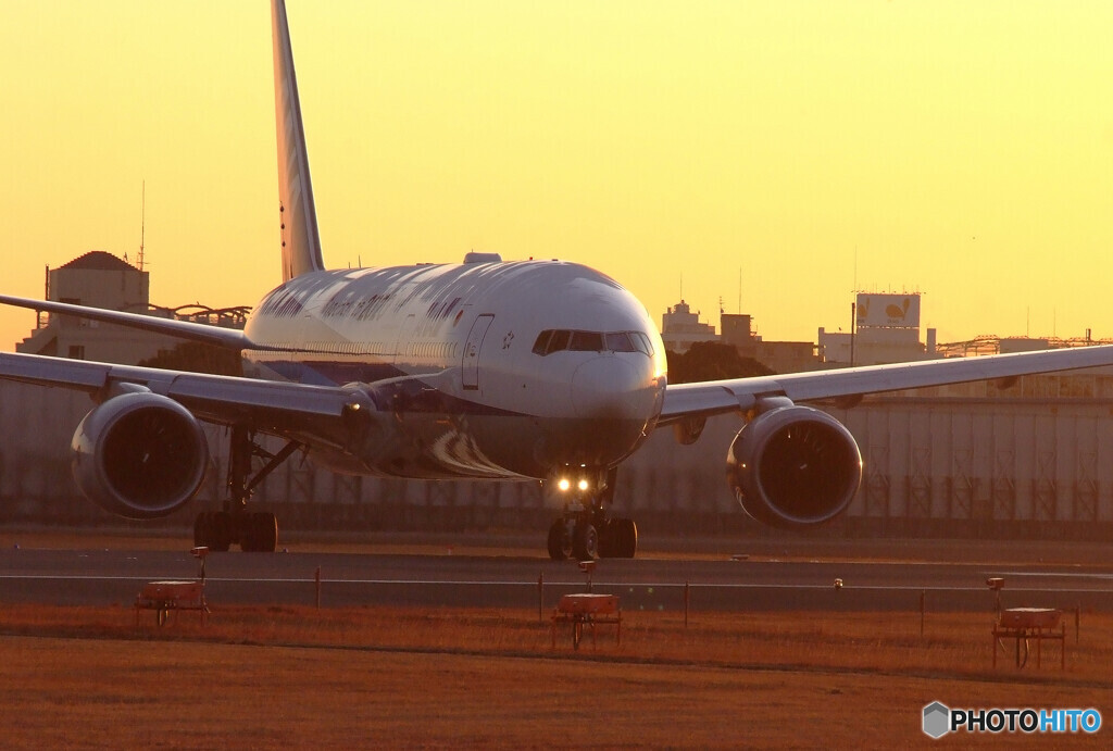 January shineⅡ✈777