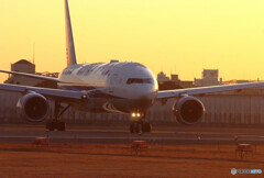 January shineⅡ✈777
