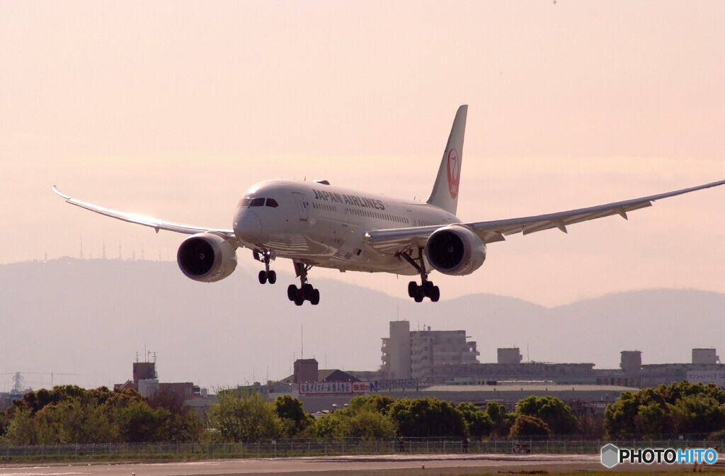 俺のSKY LAND✈Boeing 787