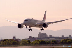 俺のSKY LAND✈Boeing 787