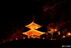 酔いしれて・勝尾寺