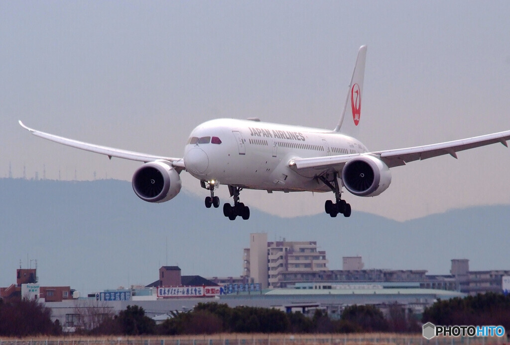 希望の翼2021✈Dreamliner